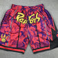 Toronto Raptors Authentic Just ☆ Don Crimson, Purple & Gold NBA Shorts [Exquisite Edition]